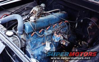 s_before.jpg 300 coming out