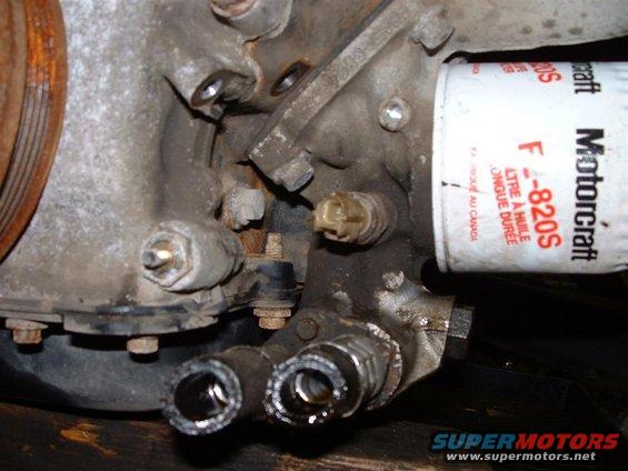 NEW_OIL_COOLER_LINES_1.JPG
