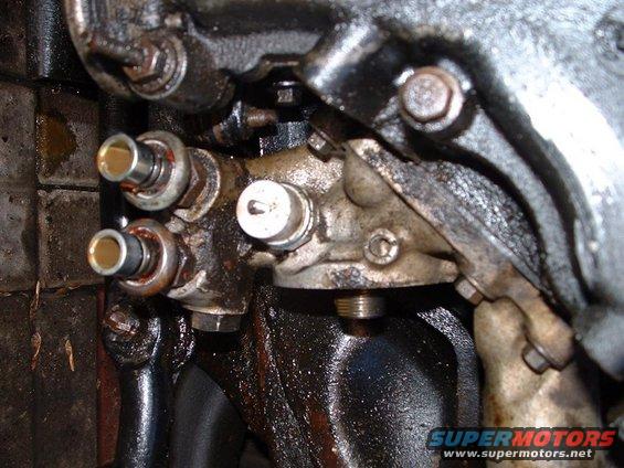 OLD_OIL_COOLER_LINES.JPG