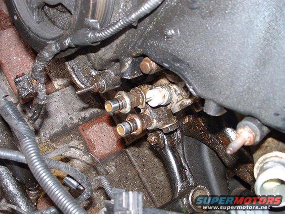 OLD_OIL_COOLER_LINES_2.JPG