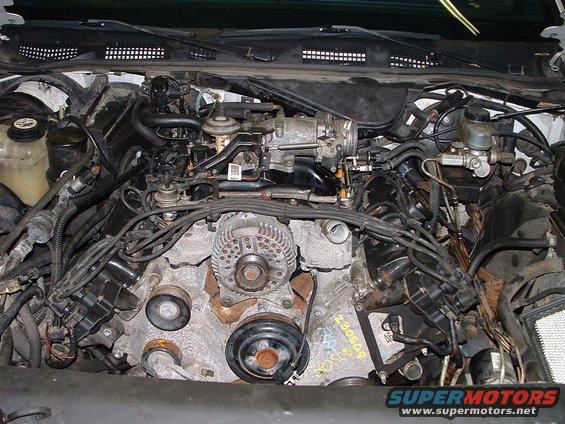 Engine bay with visible V8 engine components and wiring
