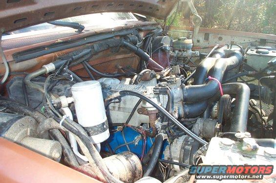 engine bay with hoses, wires, and engine components visible
