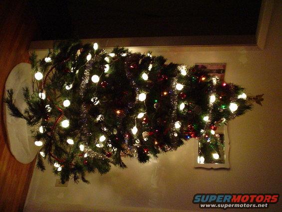 picture-175.jpg lit up