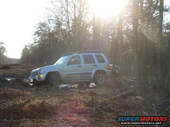 Silver SUV with roof rack stuck in mud and brush, sun glare