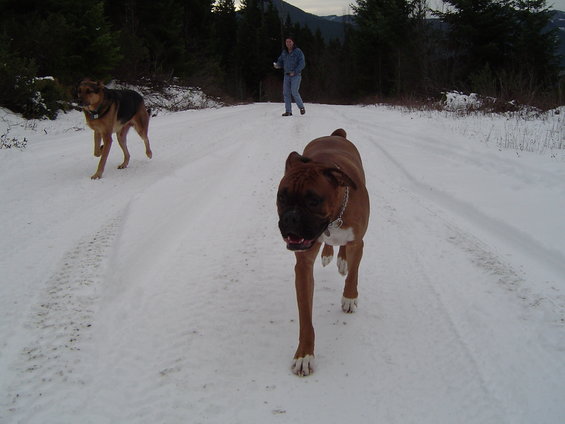 dsc00788.jpg More cassius