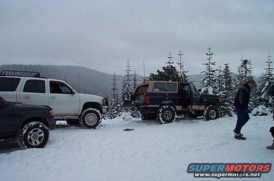 Dark green and tan Ford Bronco with a Christmas tree on its roof rack, parked in the snow