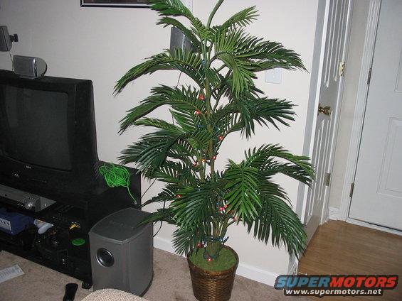 Indoor artificial palm tree with small colorful lights, next to a TV and speaker