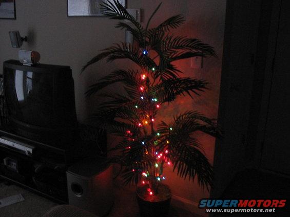 Indoor palm tree with colorful Christmas lights, next to a dark television and entertainment center