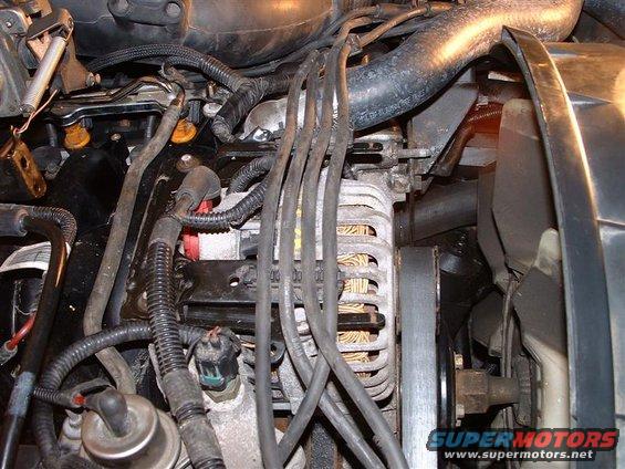 Engine bay showing alternator, spark plug wires, and hoses