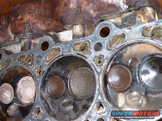 Engine cylinder head with visible valves and gasket