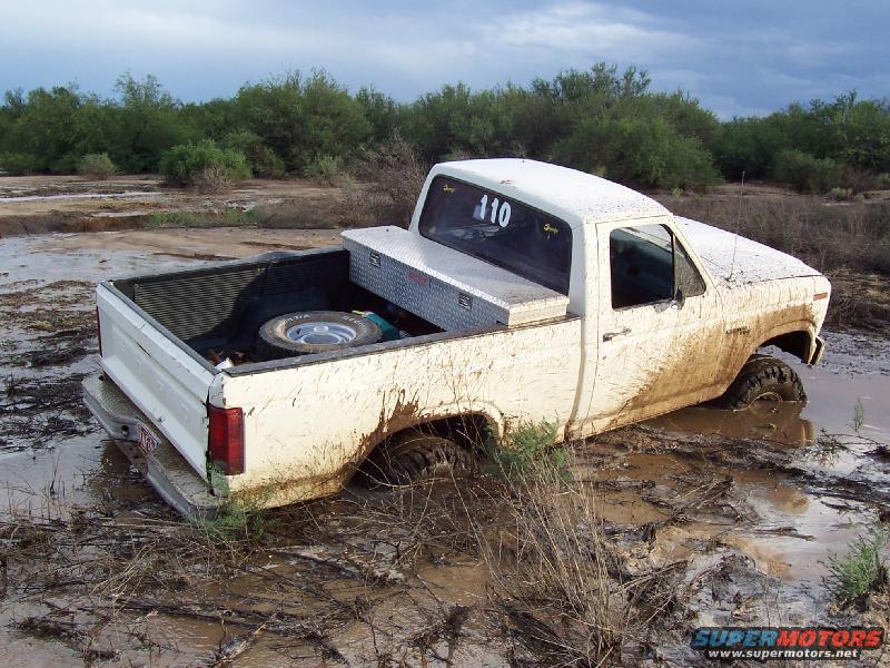 1981 Ford F-150