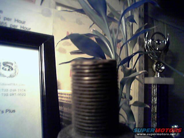 Trophy with winged emblem and a plant in front of a framed document