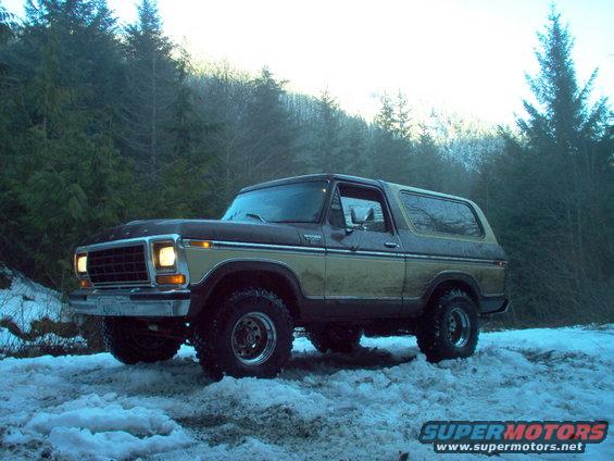 im000767.jpg Shes so majestic looking just sitting there in the snow.