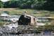 1987 Ford Bronco - Better get the waders.