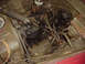 1973 Ford F-250 - The engine bay of a red vehicle, showing the engine, air filter, and various hoses and wires.