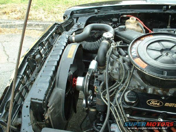 Black engine bay with Ford motor valve covers and a large fan shroud