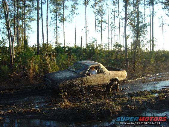 Mud-covered pickup truck stuck in a muddy forest clearing