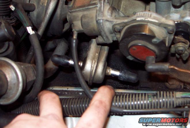 Close-up of engine bay with hoses and carburetor components. Fingers are visible in the foreground