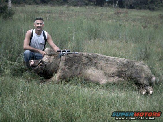 Hunter with dead wild boar and rifle scope