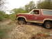 1985 Ford Bronco - A LITTLE HILL