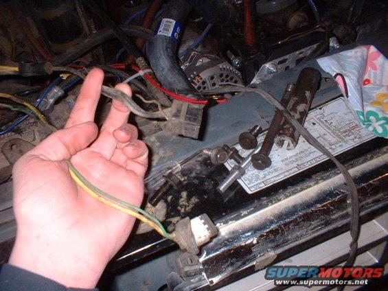 plug-ends.jpg 