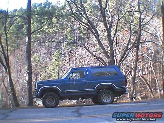 Blue 1984 Ford Bronco side view parked on a wooded roadside