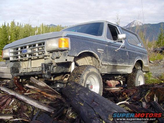 misc3-016.jpg jumpin logs
