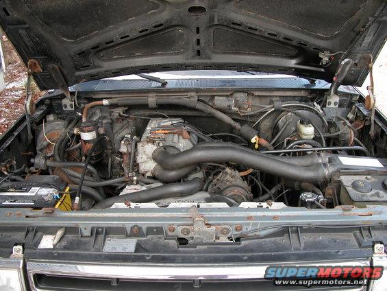 V8 5.0 302