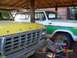 1979 Ford Bronco