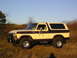 1979 Ford Bronco