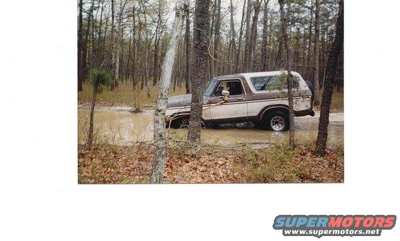 Brown and white Ford Bronco stuck in a muddy wooded area