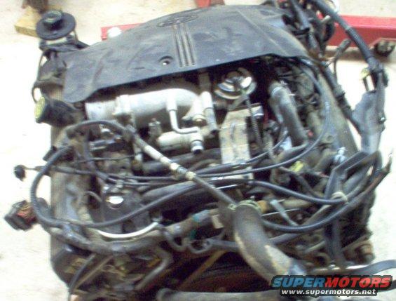 20-rearupper.jpg '00 MGM engine