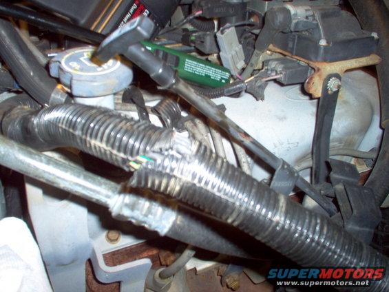 harness-loom.jpg The split loom cover only has a slight bulge where all the wires are joined.

See the NEXT pic...