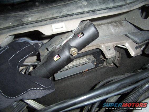 Gloved hand holding black connector near gray electronic control unit in engine bay
