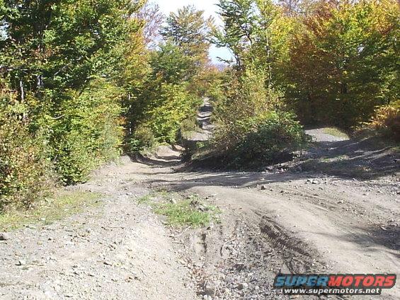 This is what the trail looks like going up to Big Duke.