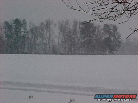 The back fields.