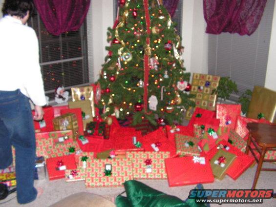 The Tree, probably be up another 2 months! 