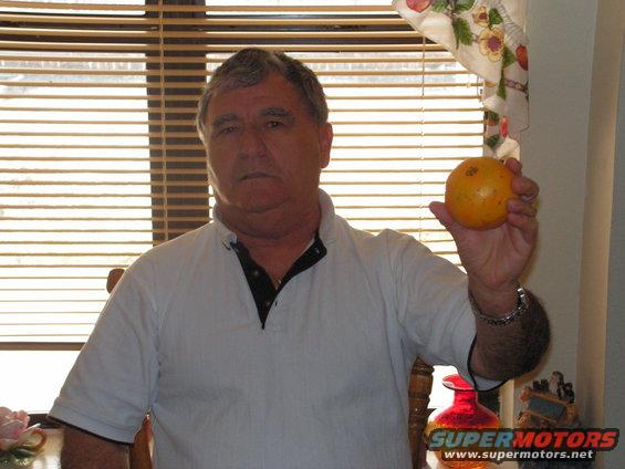 Dad & orange