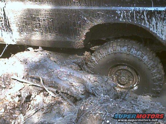 Muddy off-road tire stuck on a log, showing part of a dark-colored vehicle body