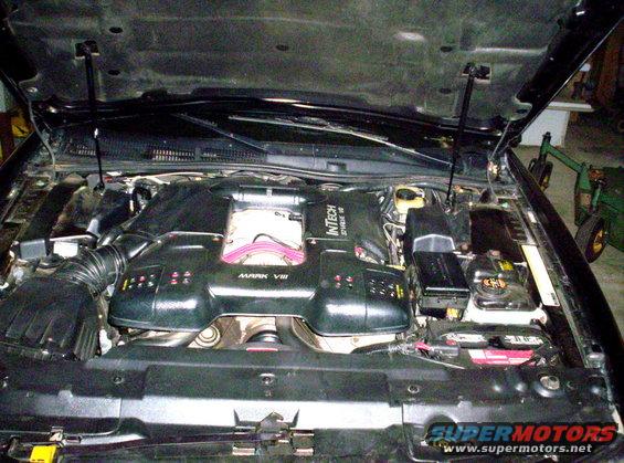 Engine bay of a 1996 Lincoln Mark VIII, showing the InTech V8 engine