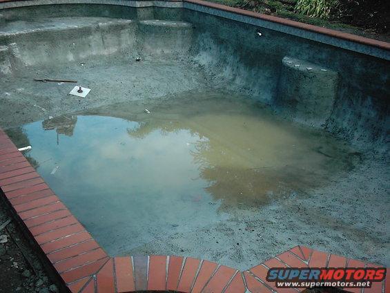 Empty swimming pool with dirty water and debris, brick coping, reflection of trees