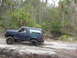 1993 Ford Bronco - A 1993 Ford Bronco navigates a dirt trail, kicking up dust as it drives through a wooded area.