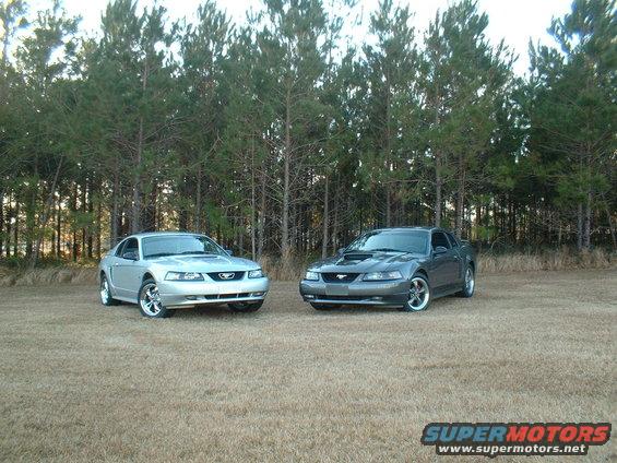 Two Ford Mustangs parked in a grassy field with trees behind them. One is silver, the other is dark gray