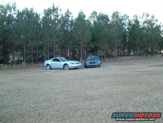 Silver and dark gray Ford Mustangs parked on dry grass with pine trees in the background