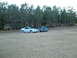 1999 Ford Mustang - Two Ford Mustangs are parked on a grassy field with a line of pine trees behind them.