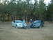 1999 Ford Mustang - Two Ford Mustangs are parked in a grassy field with a line of trees in the background.