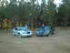 1999 Ford Mustang - Two 1999 Ford Mustangs are parked side-by-side in a grassy field.
