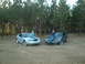 1999 Ford Mustang - Two Ford Mustangs are parked side-by-side in a grassy field with trees in the background.