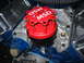 1985 Ford Crown Victoria LTD - Close-up of an engine's red MSD distributor cap and wires.