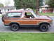 1981 Ford Bronco - This is the Bronco I started with